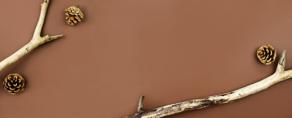 Wooden branches with fir cones creative flat lay on brown background top view with copy space. Natural, eco, organic forest background. Fall, autumn composition layout. Stock photo.