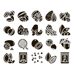 Nut Food Different Glyph Set Vector. Peanut And Almond, Chestnut And Macadamia, Cashew And Pistachio, Pine And Sunflower Seeds Glyph Pictograms Black Illustrations
