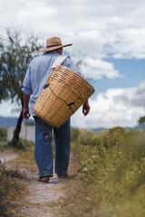 peasant walking through a green field. harvest concept