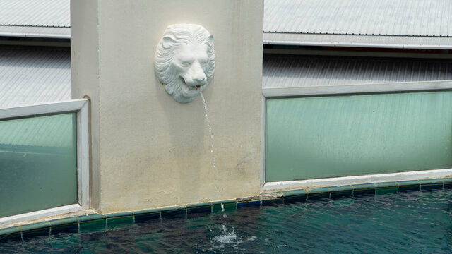 White Lion Head Fountain Spitting Out Water In The Pool