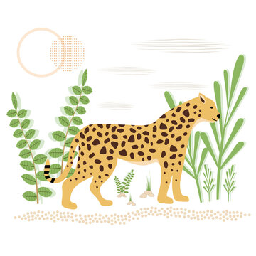 Vector illustration of a spotted Panther in the jungle. Wildlife, predators-the Jaguar, the Cheetah.