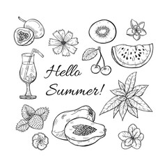 Set of cute hand drawn summer fresh fruits and flowers. Vector