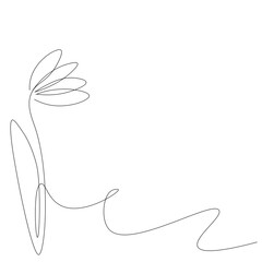 Flower line drawing, vector illustration