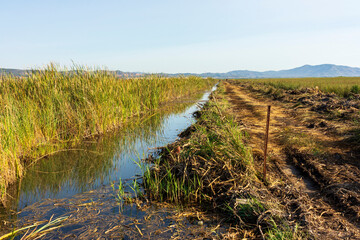 The prat de cabanes along the Azahar Coast