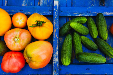 Cucumber and tomato, fresh vegetables on the background of a wooden blue retro texture.