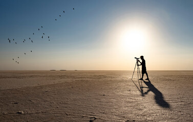 observing, studying and researching bird species in the salt lake
