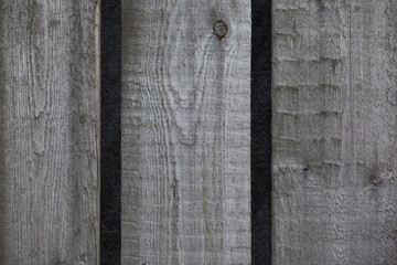 Wood texture background