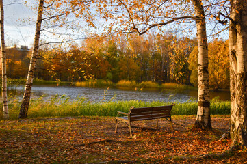 
bench in an autumn park by the lake