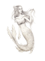 sketch of a young beautiful mermaid girl with long straight hair with scales on her tail and fins fantasy image pencil drawing