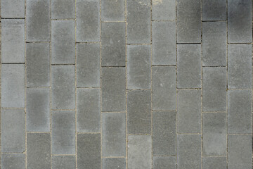 Rectangular paving slabs. Texture for the background.
