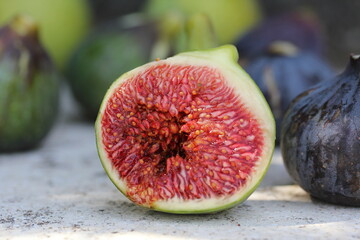 Fig [ Figue
