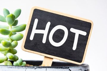 small black chalk board in a pot with succulents inscribed in white letters word hot. business...