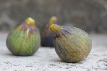 Fig [ Figue