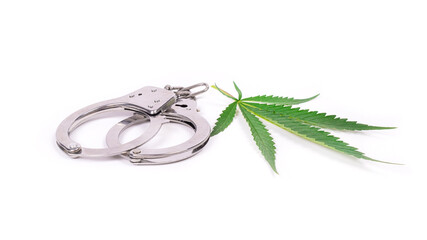 arrest for medical marijuana, cannabis drug trafficking, handcuffs and green leaf close up
 