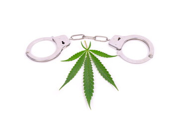 arrest for medical marijuana, cannabis drug trafficking, handcuffs and green leaf
