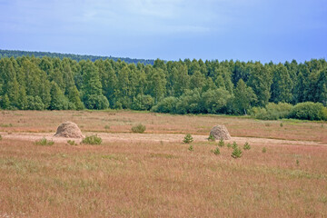 Fototapeta premium Autumn view of a field with two haystacks against a background of forest and blue sky