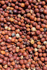 Red Pigeon Peas (Cajanus cajan) harvested and dry in the sun.