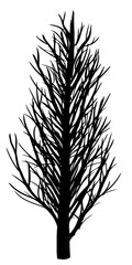 Vector illustration. Silhouette of bare tree on white background.