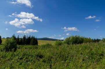 Bieszczady panorama 