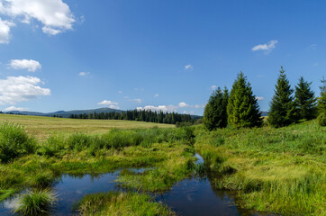 Fototapeta na wymiar Bieszczady panorama 