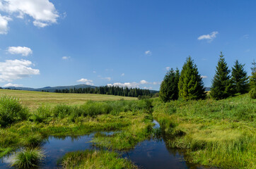 Bieszczady panorama 