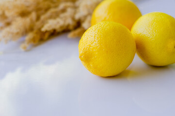 lemon on a plate