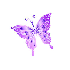 Single butterfly vector illustration. Beautiful butterfly art for greeting cards, invitations, decorations.