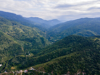 Fototapeta na wymiar Chepelarska River passing through the Rhodope Mountain, Bulgaria