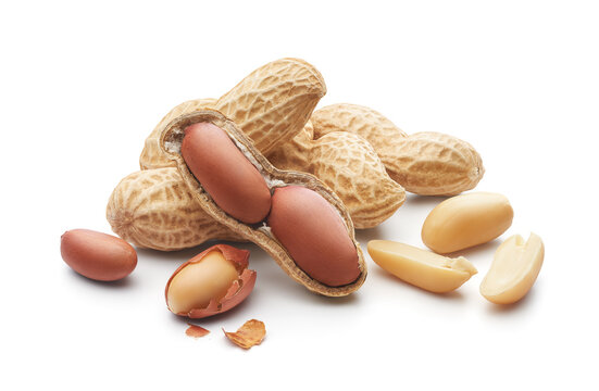 Group of peeled, unpeeled and opened shell peanuts - clipping path included