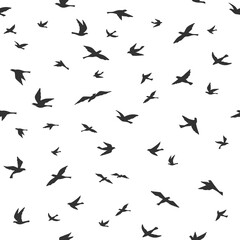 Flying bird seamless pattern. Drawing birds flock flying, abstract aerial black silhouettes in sky, print textile, wallpaper vector texture. Doves or pigeons migration, animal wildlife