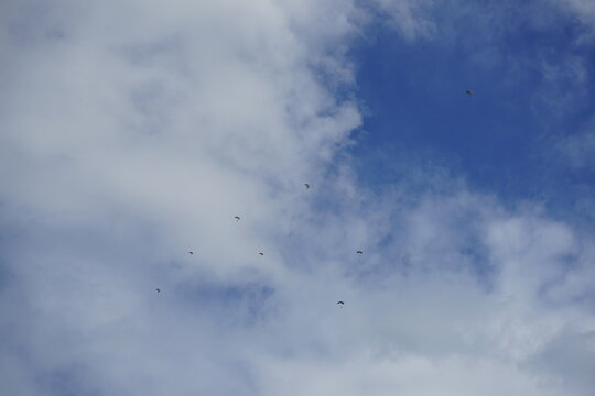picture of a skydive parachut in the sky with white clouds