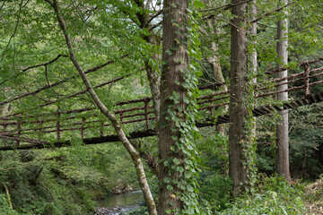 かずら橋　　福井県