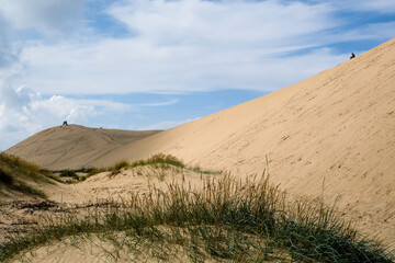 Fototapeta na wymiar Sand dune in the Region of northern Jutland, Denmark, Europe