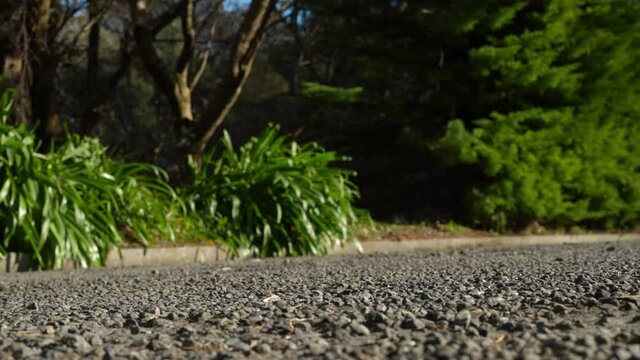 a close up of a longboard riding down a hill