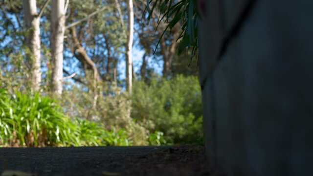 a close up ground angle of a longboarder riding past the camera