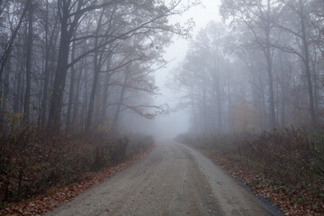 Fototapeta na wymiar Fog on a road