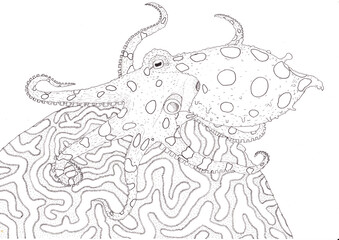 Blue-ringed octopus paintedwith ink