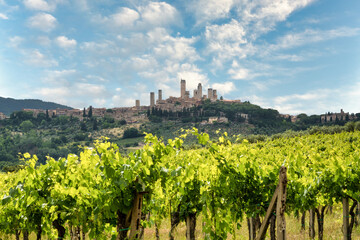 Fototapeta na wymiar San Gimignano, vineyards and town in Tuscany, Italy