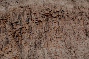 Wall cliff of the brown clay