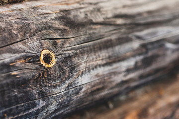 A wall of significantly burned and hewn pine logs with knots. Close-up, narrow focus.