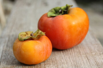 Persimmon | Kaki