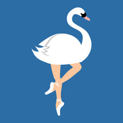 Ballerina swan in tutu and pointe shoes, dancing and posing, white swan ballet