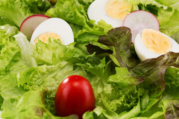 delicate tasty green salad with vegetables and eggs