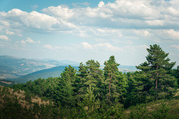 woodland landscape in the black sea mountains in turkey
