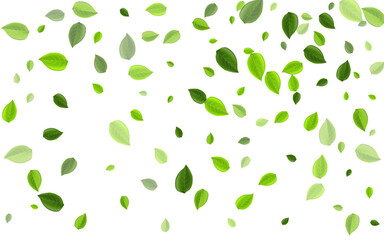 Forest Greens Swirl Vector Illustration. Motion 