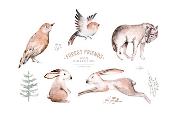 Naklejka premium Woodland animals set. Owl, hedgehog, fox and butterfly, Bunny rabbit set of forest squirrel and chipmunk, bear and bird baby animal, Scandinavian Nursery wolf watercolor kids poster design