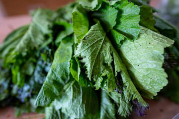 Pile of fresh Green Letus © TopiStudios