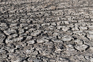 Cracked and dry earth in the desert. Global warming and shortage of water on the planet. Drought, cracked ground. Natural texture of soil with cracks, wasteland, climate changes. Selective focus
