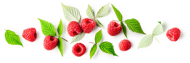 Raspberries and leaves creative banner
