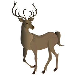 Wild deer with horns. Vector illustration